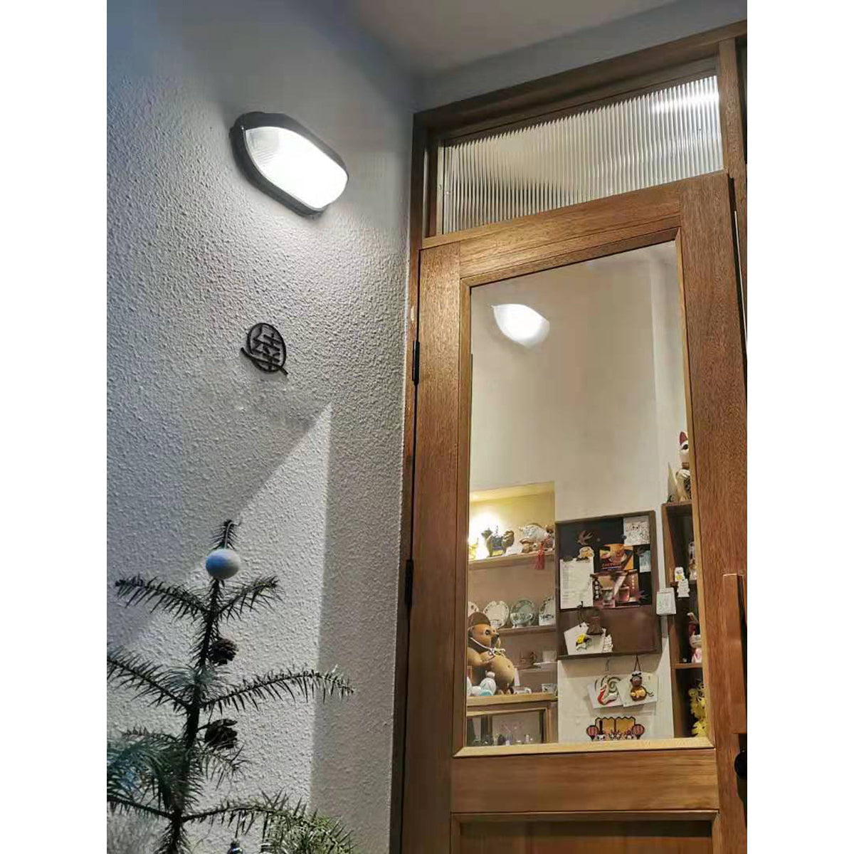 Outdoor Wall Lamp Industrial Retro with Oval Frosted Glass Cover