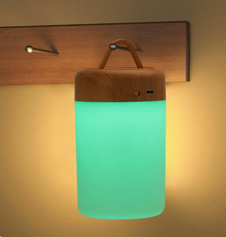 Touch Control LED Bedside Lamp Dimmable with Color Changing Night Light