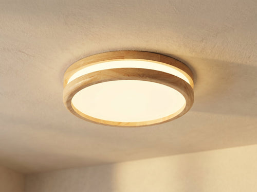 Ceiling Lamps