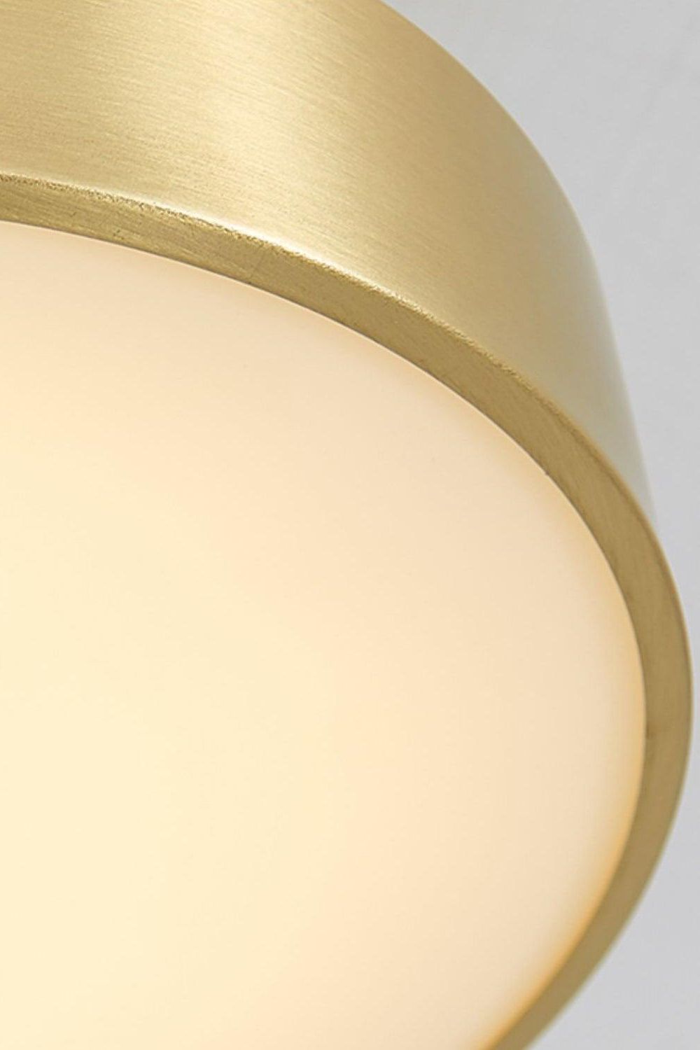 Ceiling Lamp Modern Minimalist with Rotating Round Shade and Integrated LED