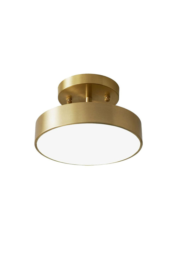 Ceiling Lamp Modern Minimalist with Rotating Round Shade and Integrated LED