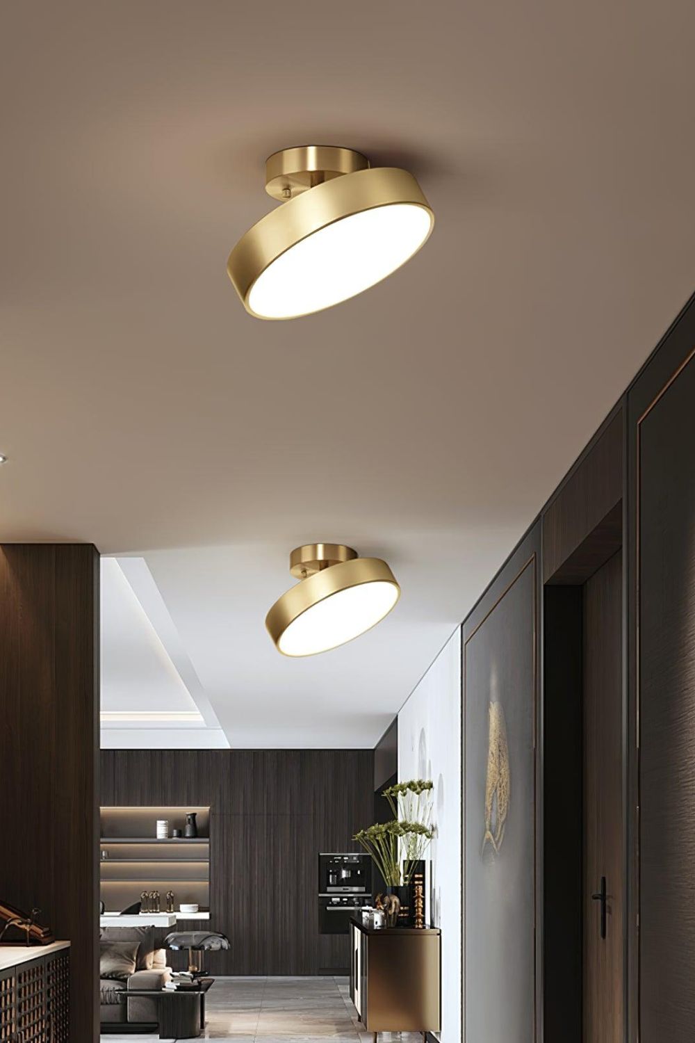 Ceiling Lamp Modern Minimalist with Rotating Round Shade and Integrated LED