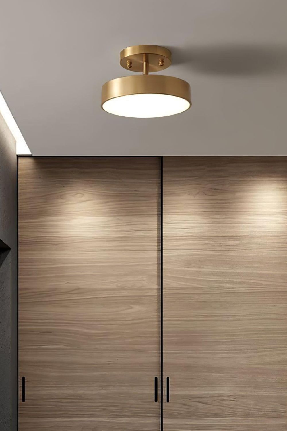 Ceiling Lamp Modern Minimalist with Rotating Round Shade and Integrated LED