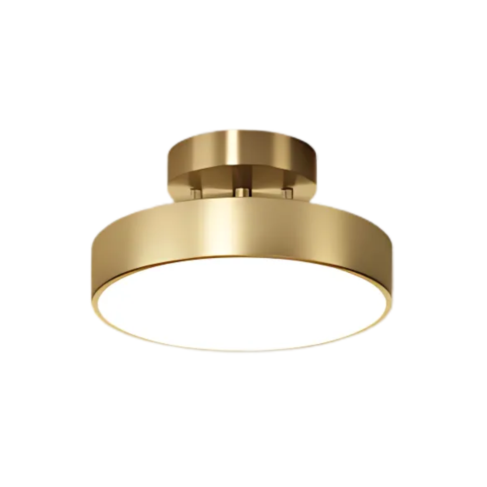 Ceiling Lamp Modern Round LED with Adjustable Tilt