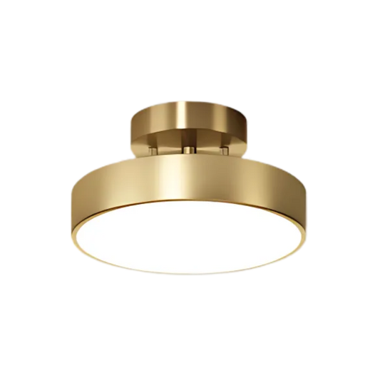 Ceiling Lamp Modern Round LED with Adjustable Tilt