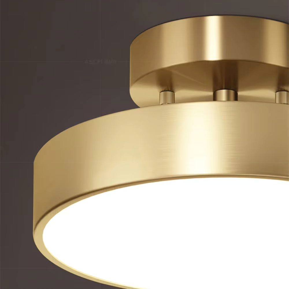 Ceiling Lamp Modern Round LED with Adjustable Tilt