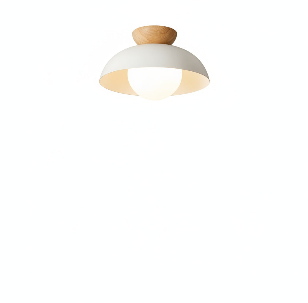 Ceiling Lamp Scandinavian with Dome Shade and Globe Diffuser