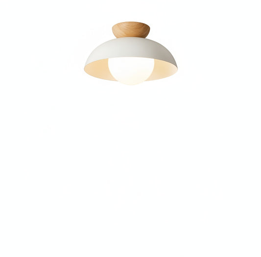 Ceiling Lamp Scandinavian with Dome Shade and Globe Diffuser