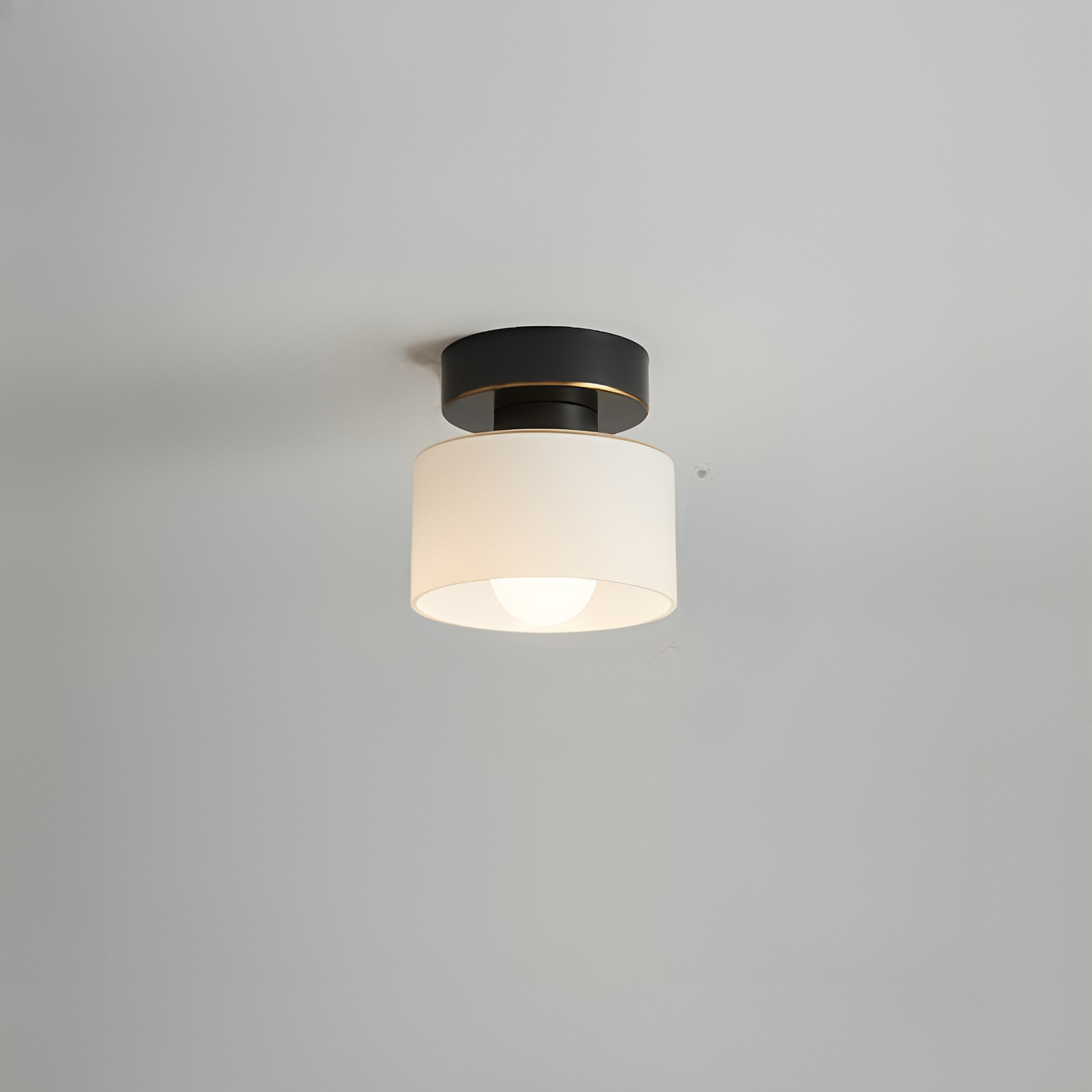 Ceiling Light Modern Minimalist with Glass Drum Shade and Flush Mount
