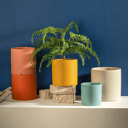 Ceramic Plant Pot with Saucer and Drainage Hole, Minimalist Cylinder Design