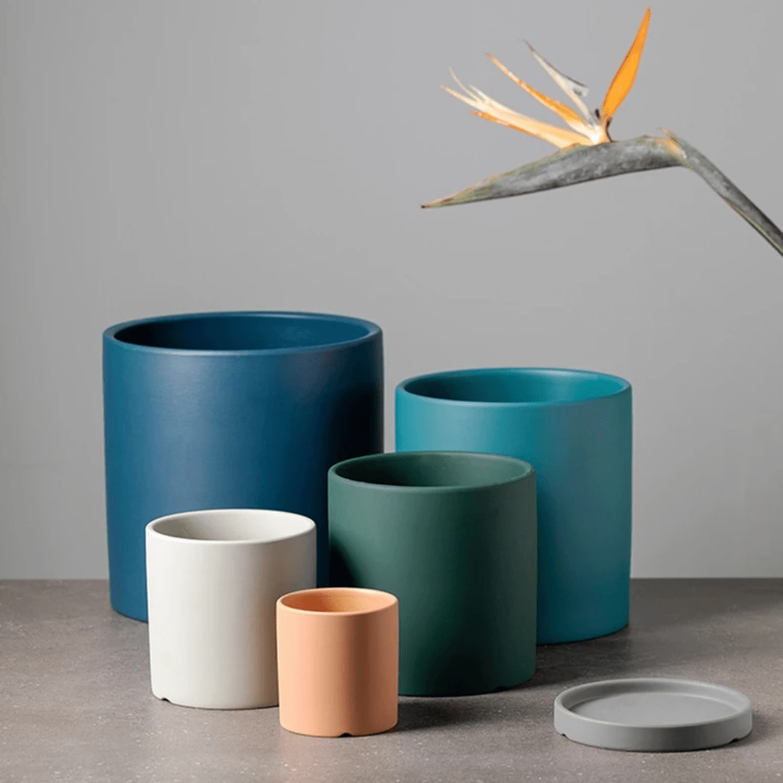 Ceramic Plant Pot with Saucer and Drainage Hole, Minimalist Cylinder Design