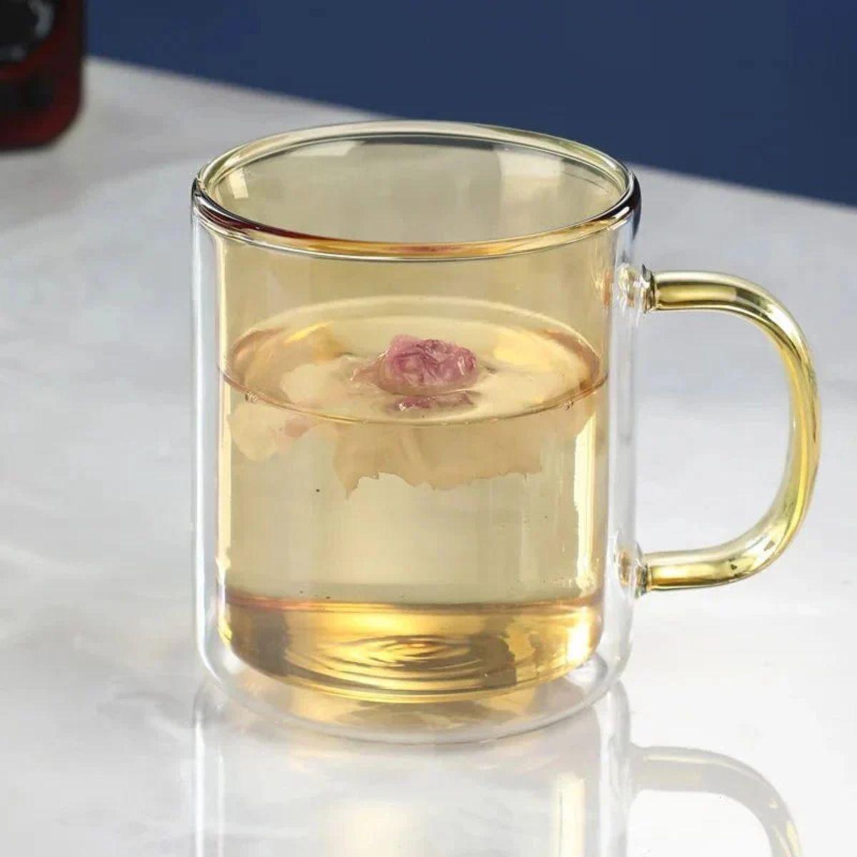 Double Wall Insulated Glass Coffee Mug with Handle