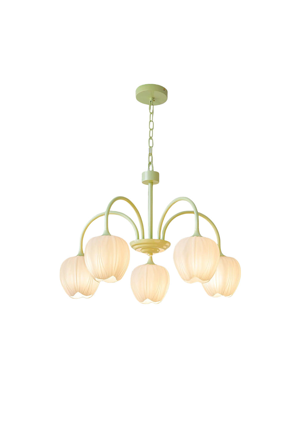 Floral Chandelier Bohemian with Tulip Glass Shades and Adjustable Chain