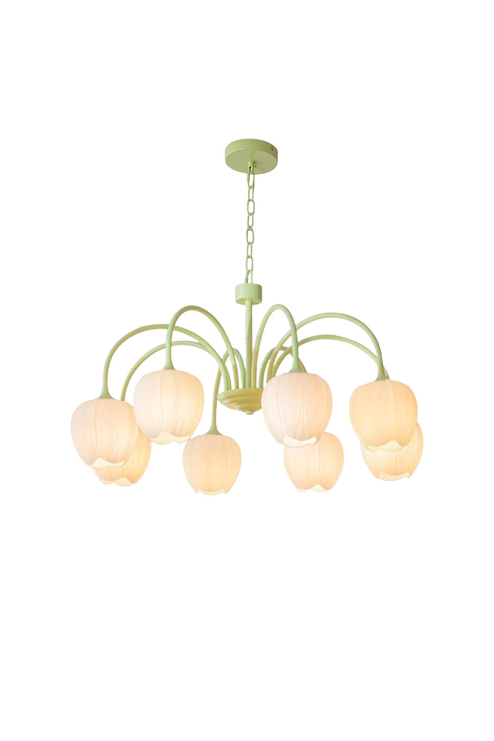 Floral Chandelier Bohemian with Tulip Glass Shades and Adjustable Chain