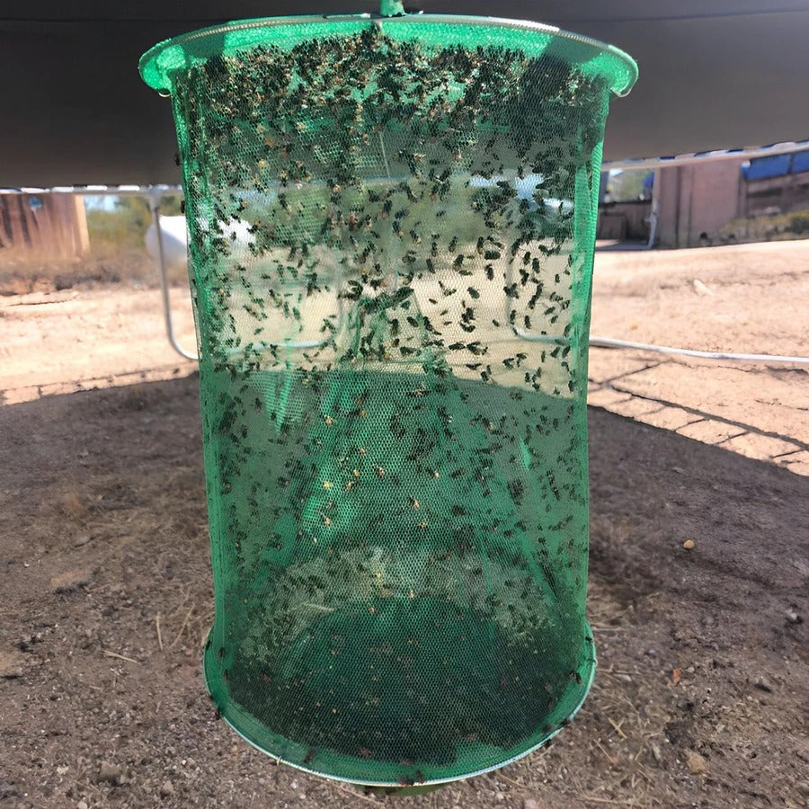 Hanging Fly Trap with Mesh Cage and Plastic Basin