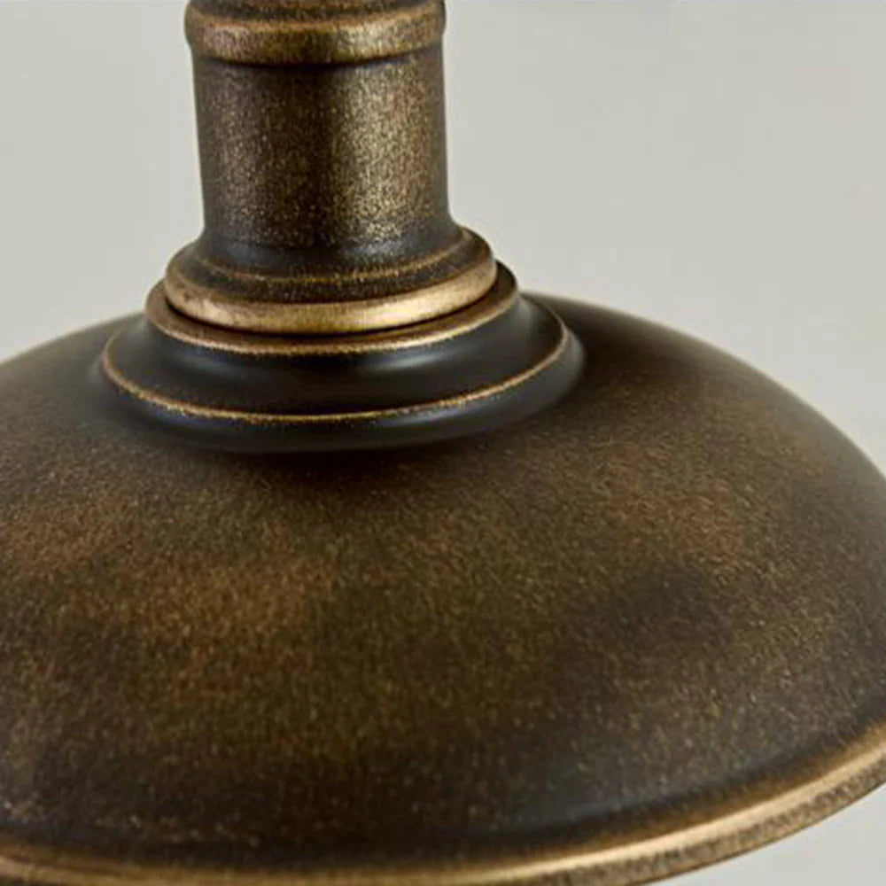 Industrial Vintage Wall Lamp with Gooseneck Arm and Dome Shade