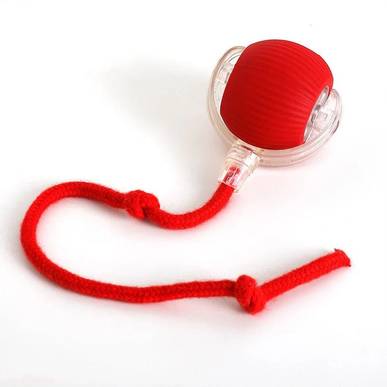 Interactive Rolling Ball Dog Toy with Tail Attachment and Random Movement