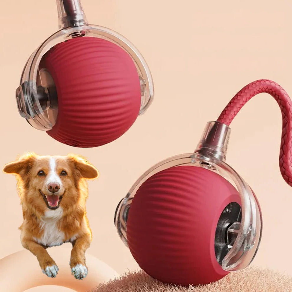 Interactive Rolling Ball Dog Toy with Tail Attachment and Random Movement
