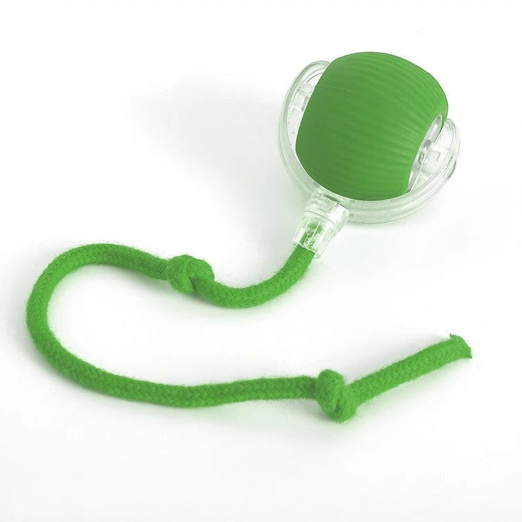 Interactive Rolling Ball Dog Toy with Tail Attachment and Random Movement