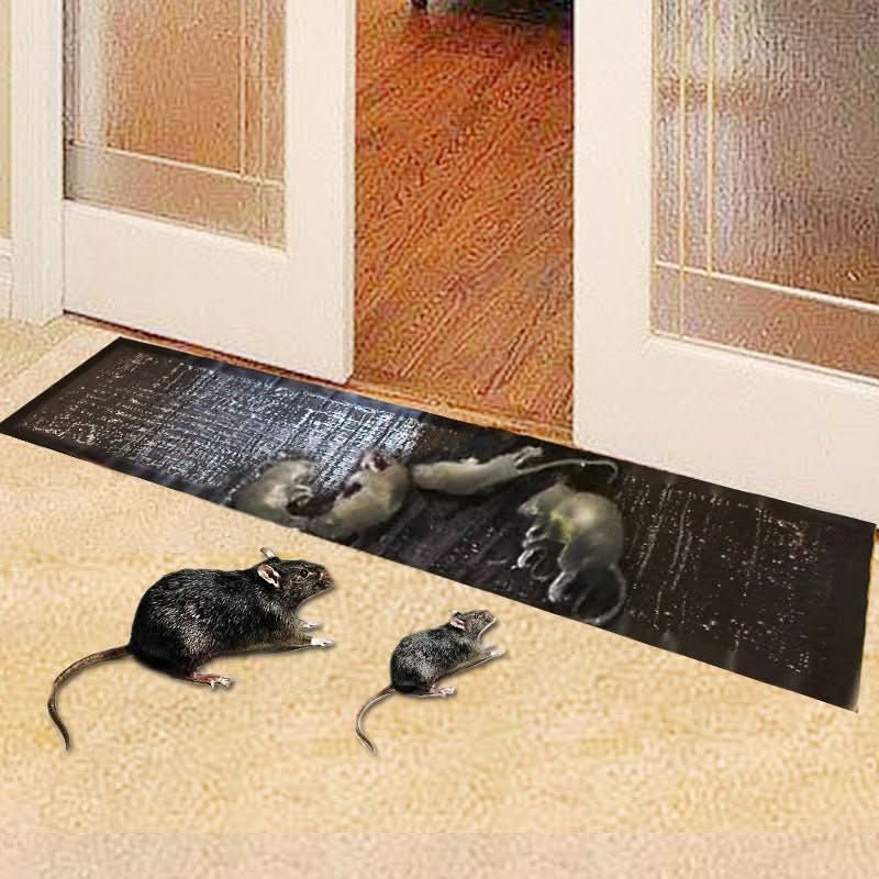 Large Glue Trap for Rats, Mice and Insects, 10-Pack