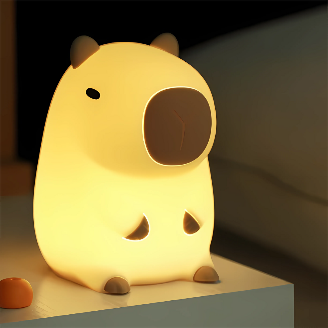 Light with Adjustable Brightness