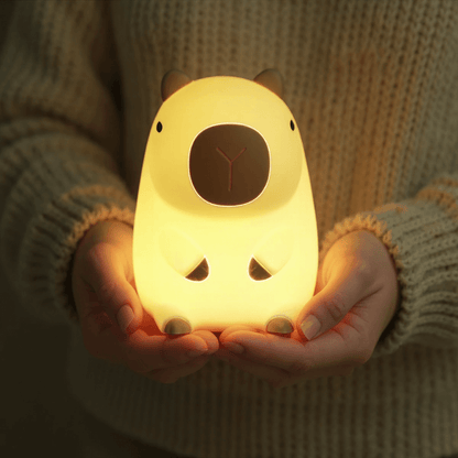 Light with Adjustable Brightness