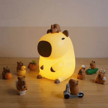 Light with Adjustable Brightness