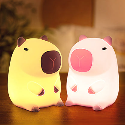 Light with Adjustable Brightness