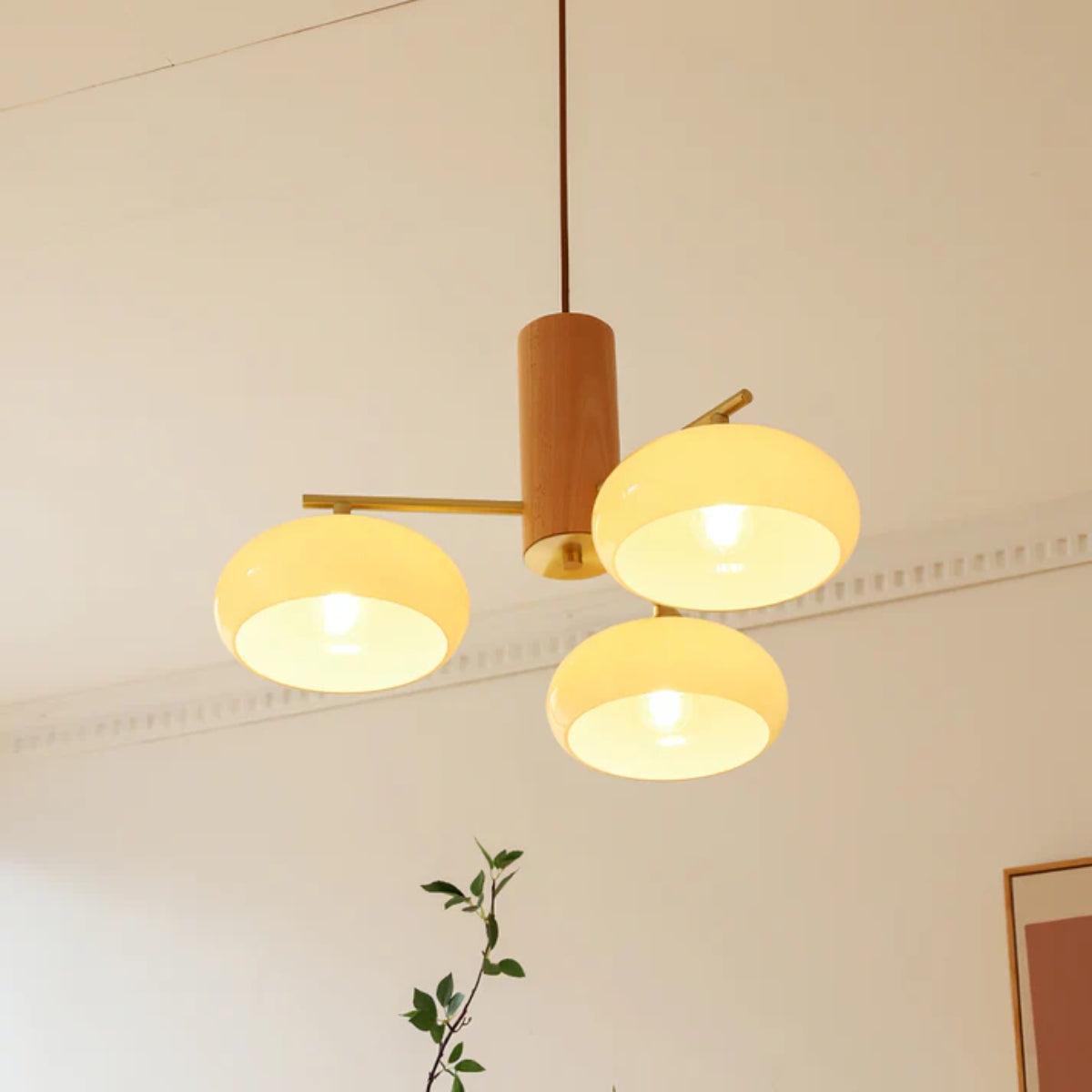 Mid-Century Chandelier with Glass Shades and Brass Arms