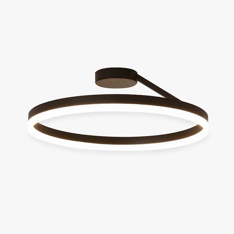 Modern Circle LED Flush Mount Ceiling Light with Dimmable Ring Design