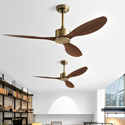 Modern Minimalist Ceiling Fan with 3 Blades and DC Motor