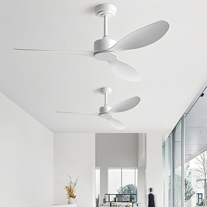 Modern Minimalist Ceiling Fan with 3 Blades and DC Motor