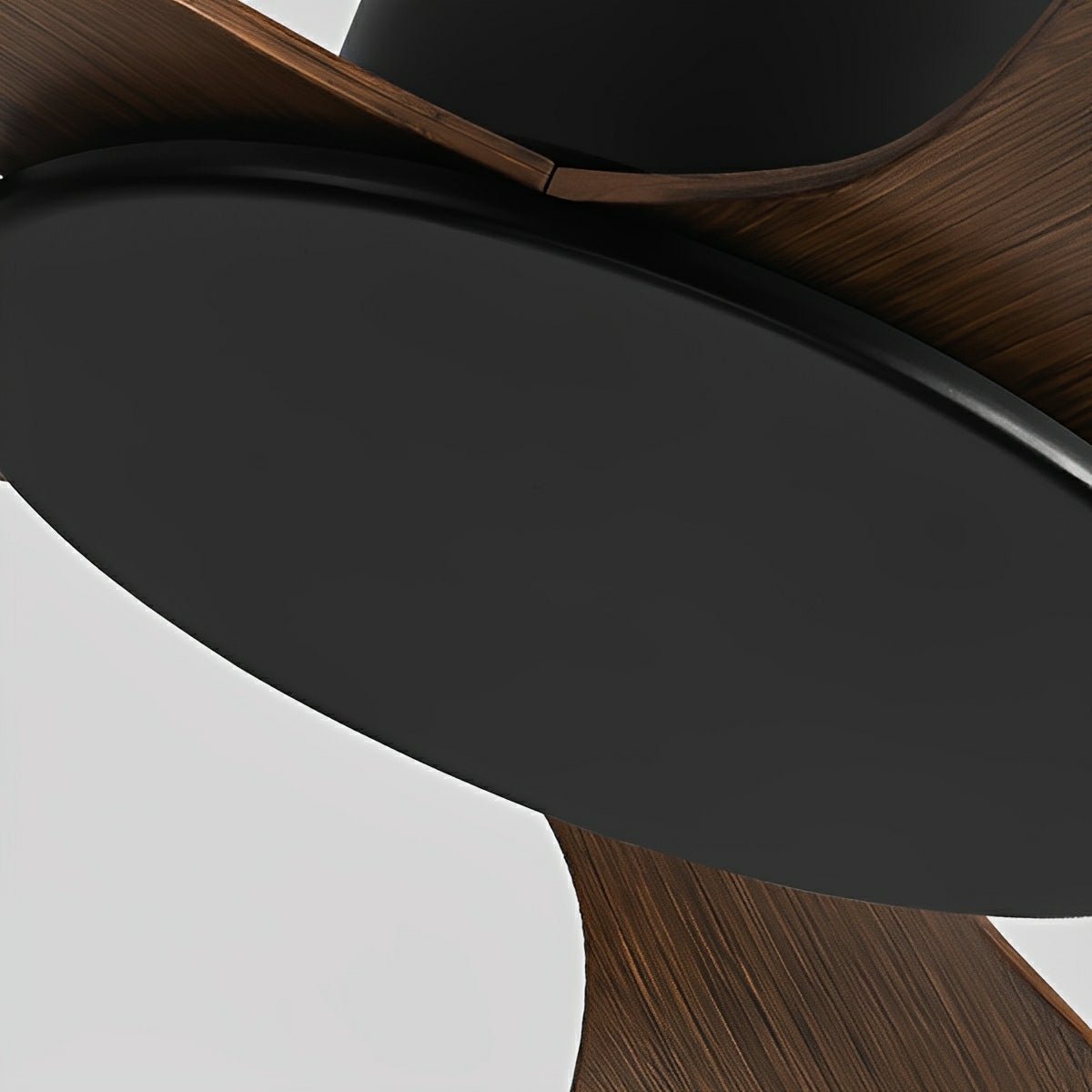 Modern Minimalist Ceiling Fan with 3 Blades and DC Motor