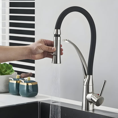 Modern Stainless Steel Kitchen Faucet with 360° Rotatable Pull-Out Spout