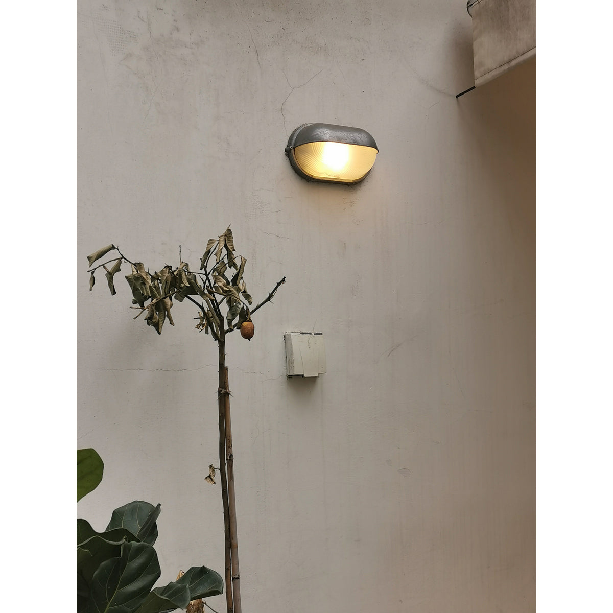 Outdoor Wall Lamp Industrial Retro with Oval Frosted Glass Cover