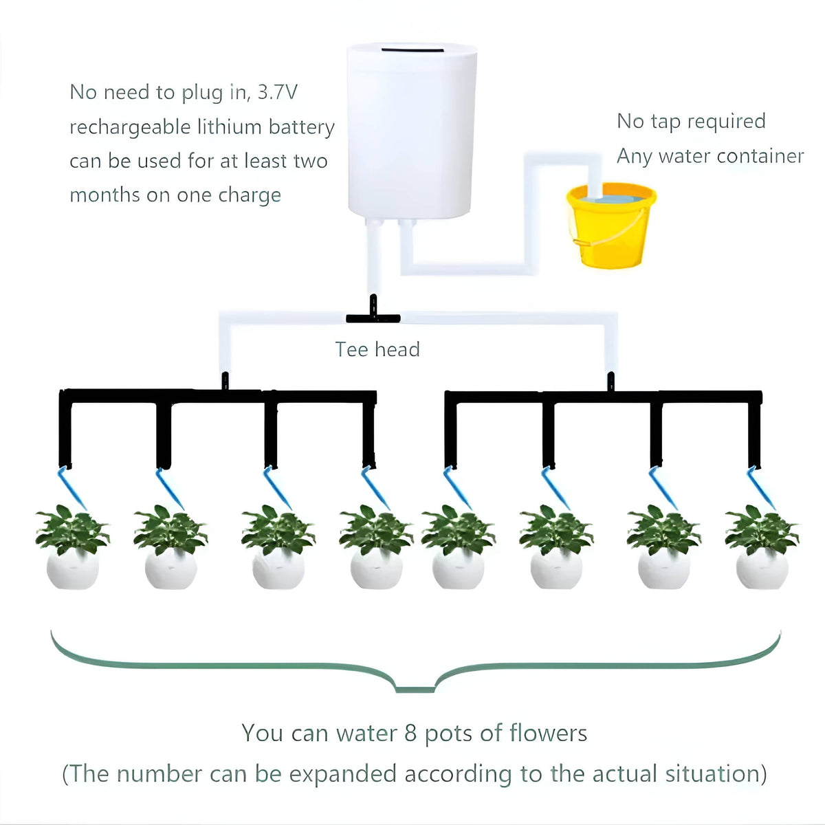Plant Watering System with Digital Display and Drip Heads