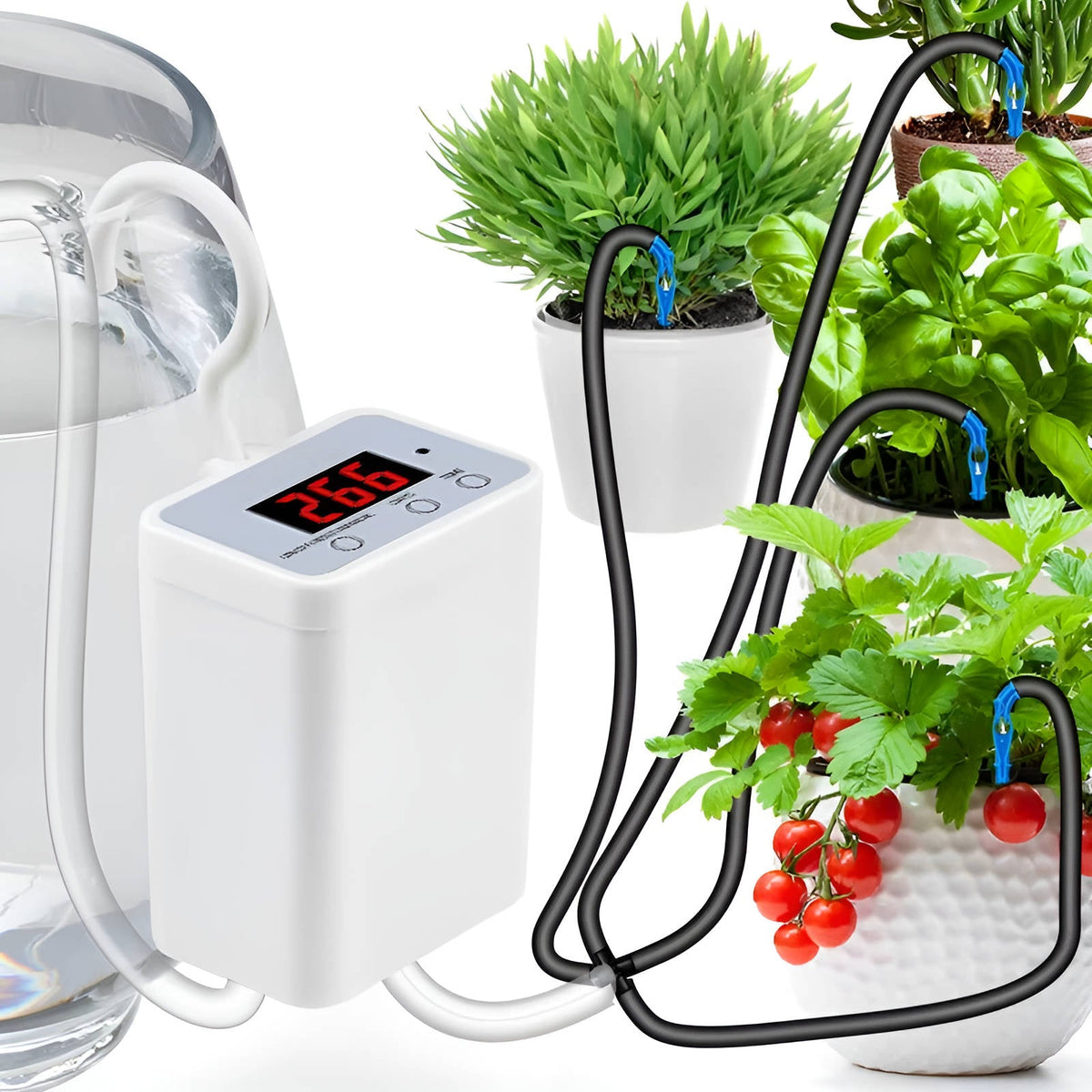 Plant Watering System with Digital Display and Drip Heads