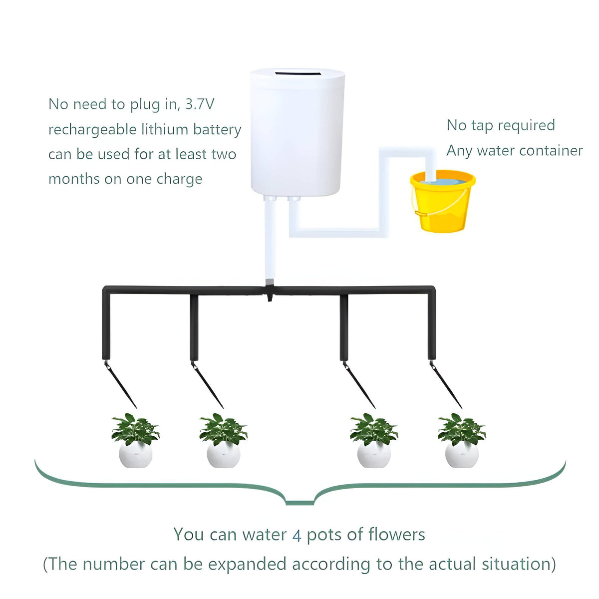 Plant Watering System with Digital Display and Drip Heads
