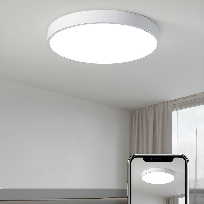 Round LED Flush Mount Ceiling Light Minimalist Disk with Frosted Diffuser