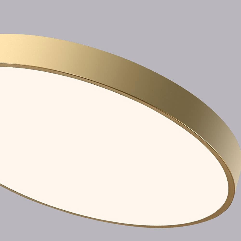Round LED Flush Mount Ceiling Light Minimalist Disk with Frosted Diffuser