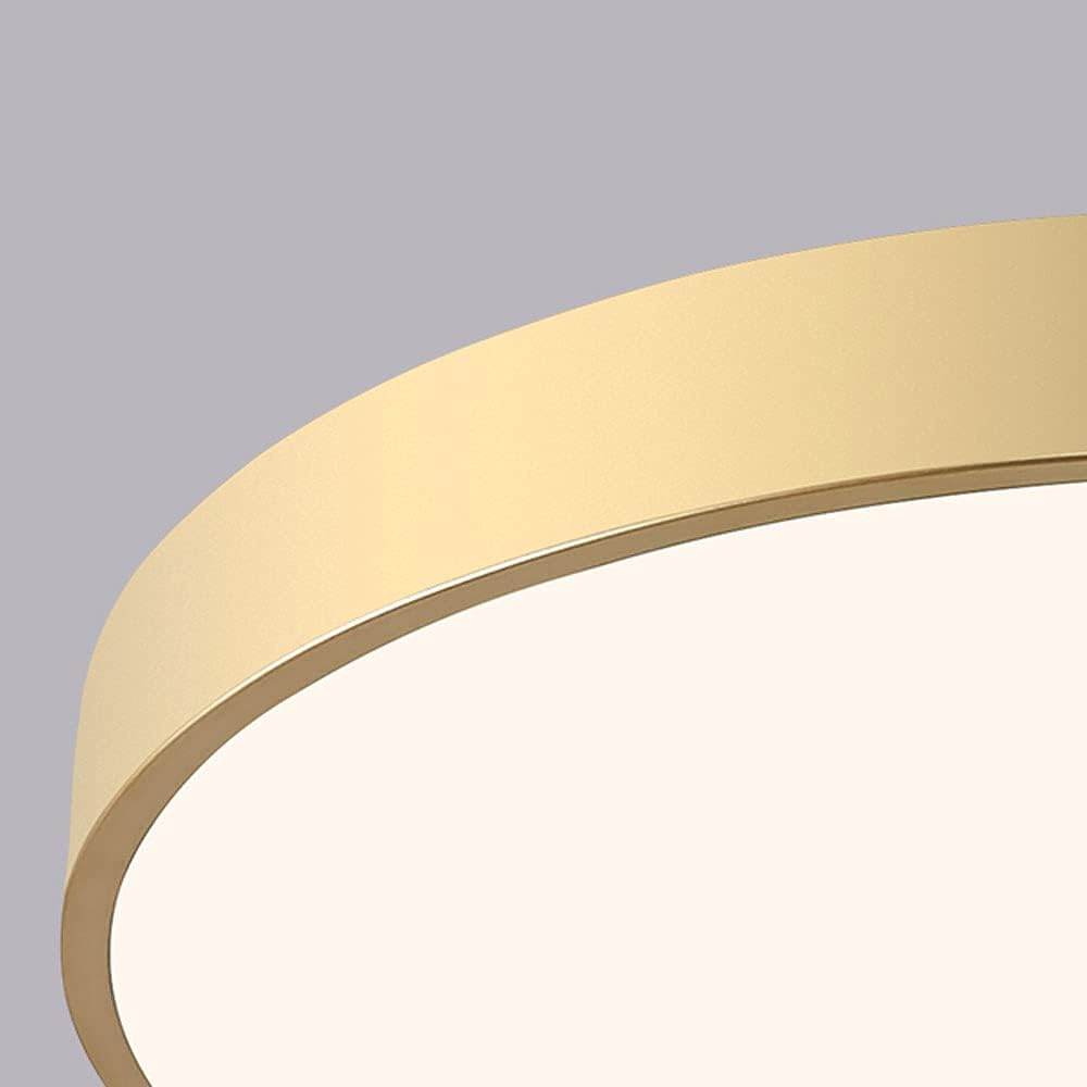 Round LED Flush Mount Ceiling Light Minimalist Disk with Frosted Diffuser