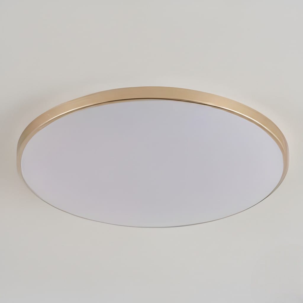 Round LED Flush Mount Ceiling Light Modern Minimalist with Integrated LED