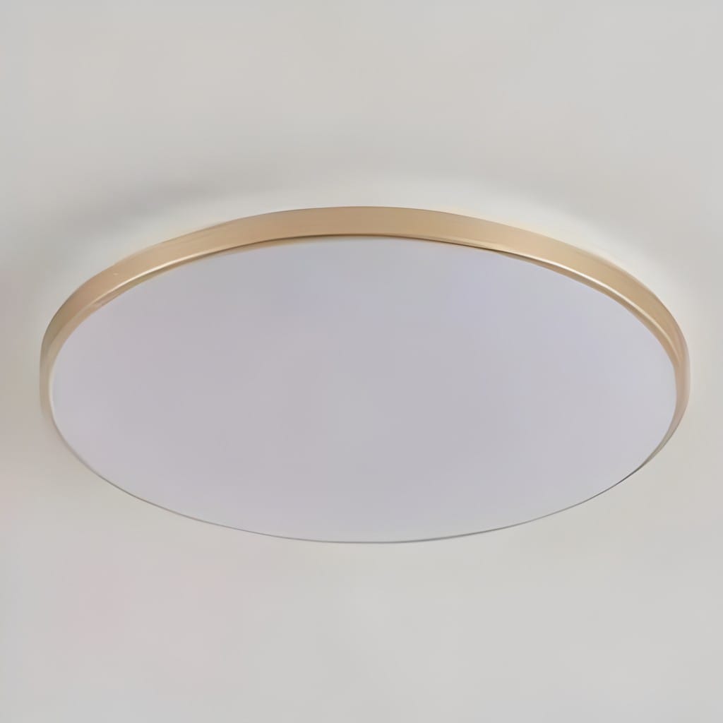 Round LED Flush Mount Ceiling Light Modern Minimalist with Integrated LED