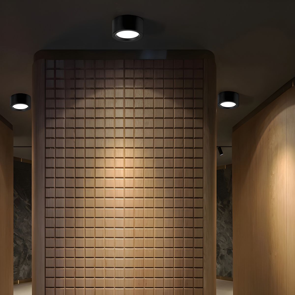 Round Surface Mount LED Ceiling Light Minimalist with Integrated LED