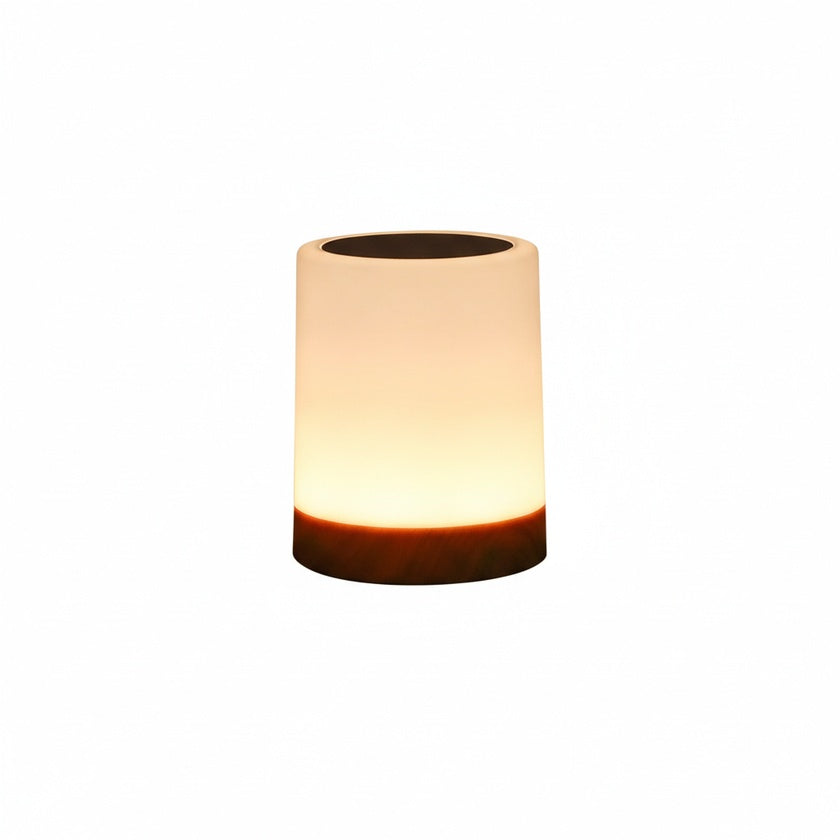 Touch Control LED Bedside Lamp Dimmable with Color Changing Night Light