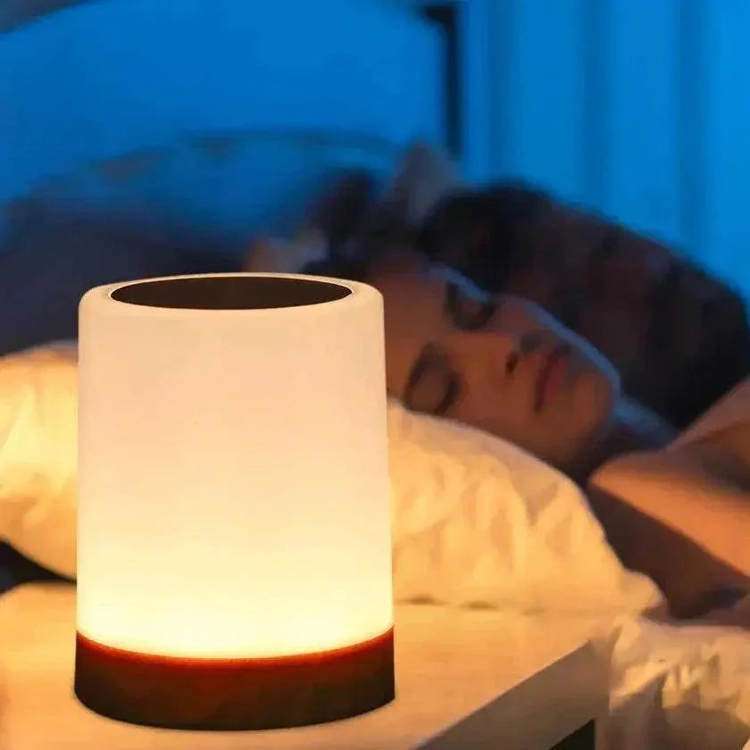 Touch Control LED Bedside Lamp Dimmable with Color Changing Night Light