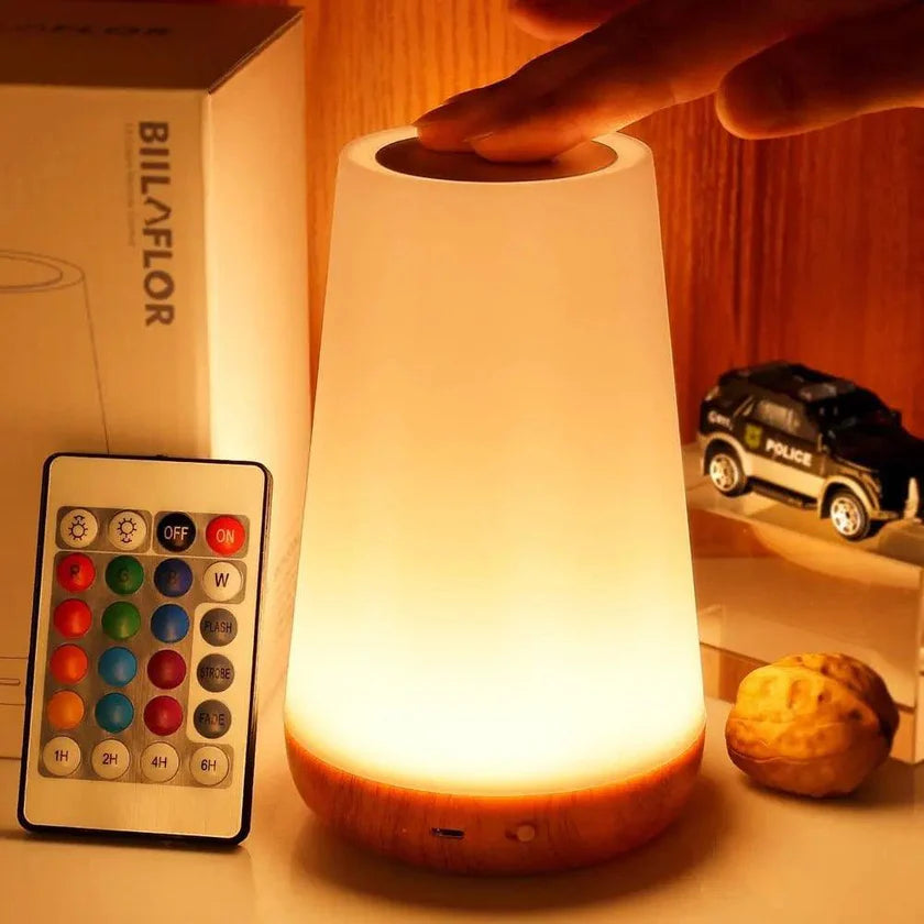 Touch Control LED Bedside Lamp Dimmable with Color Changing Night Light