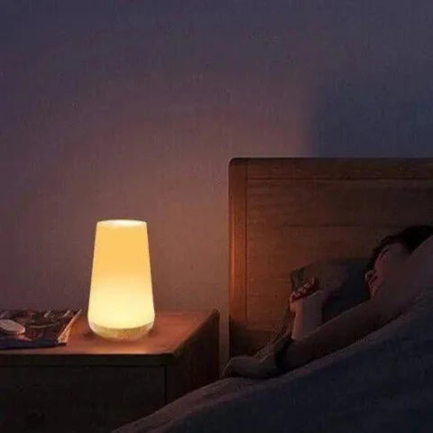 Touch Control LED Bedside Lamp Dimmable with Color Changing Night Light