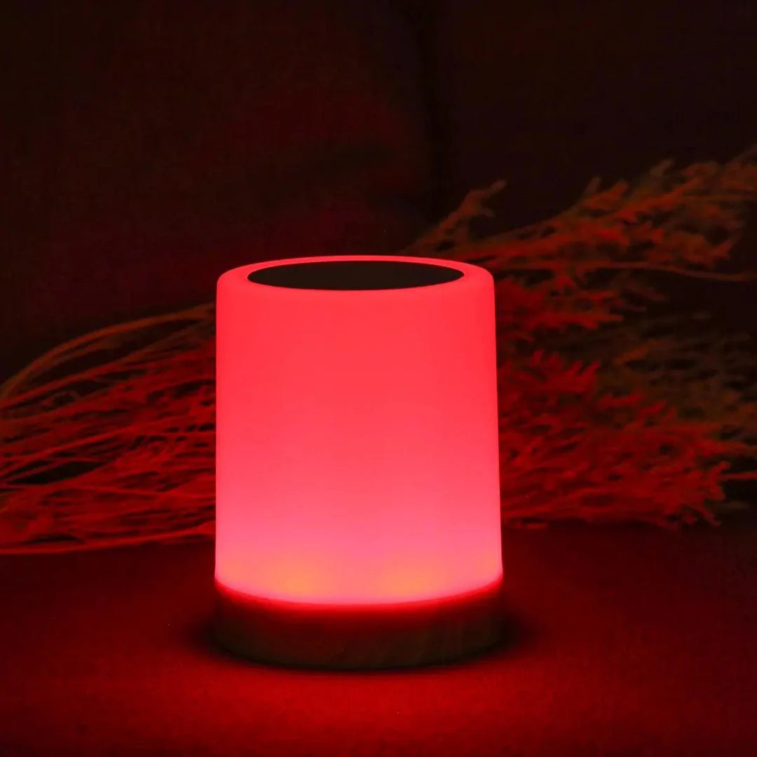 Touch Control LED Bedside Lamp Dimmable with Color Changing Night Light