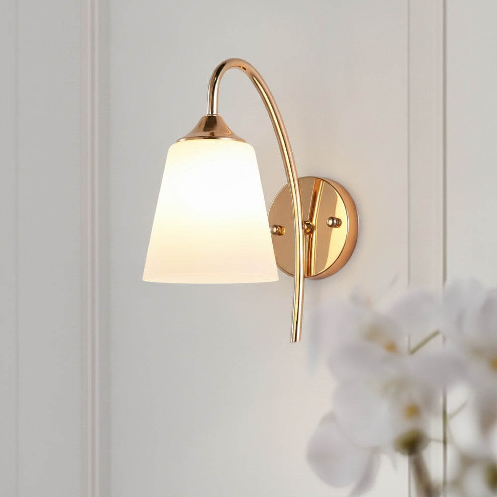 Wall Lamp Modern with Gooseneck Arm and Tapered Glass Shade